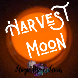 Mica Powder Pigment Colorant Magic Moon Micas Glow