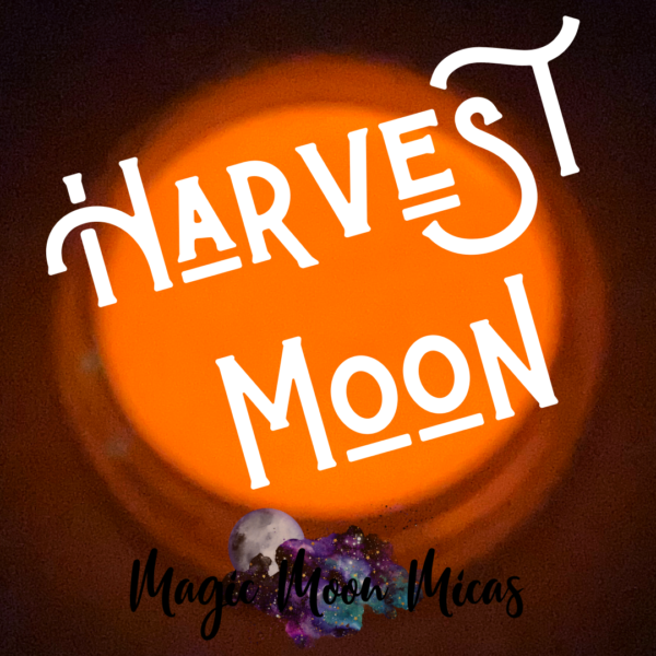 Mica Powder Pigment Colorant Magic Moon Micas Glow